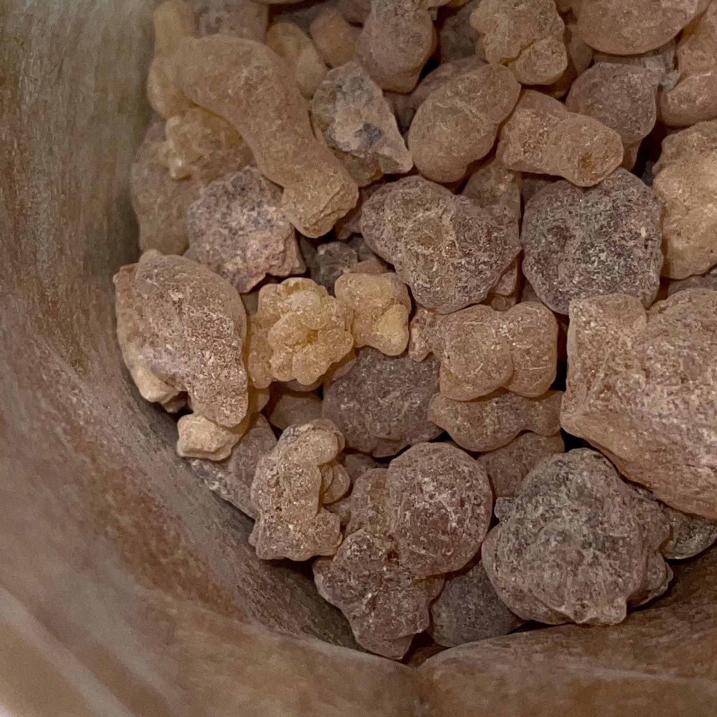 Photographie macro des larmes de Boswellia papyrifera, Soudan.